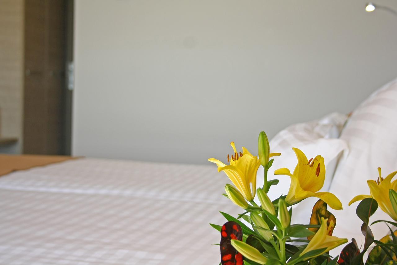 Nemo Hotel Brăila Екстериор снимка